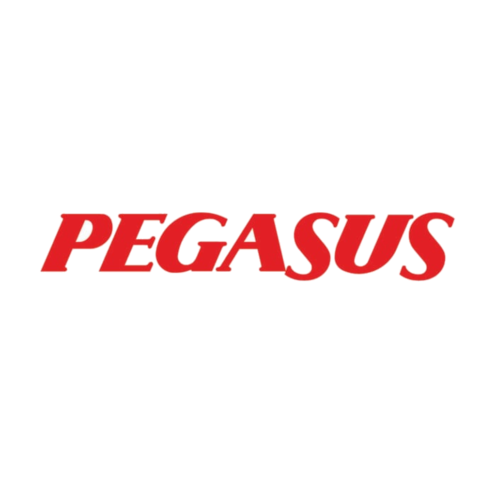 Pegasus Airlines logosu