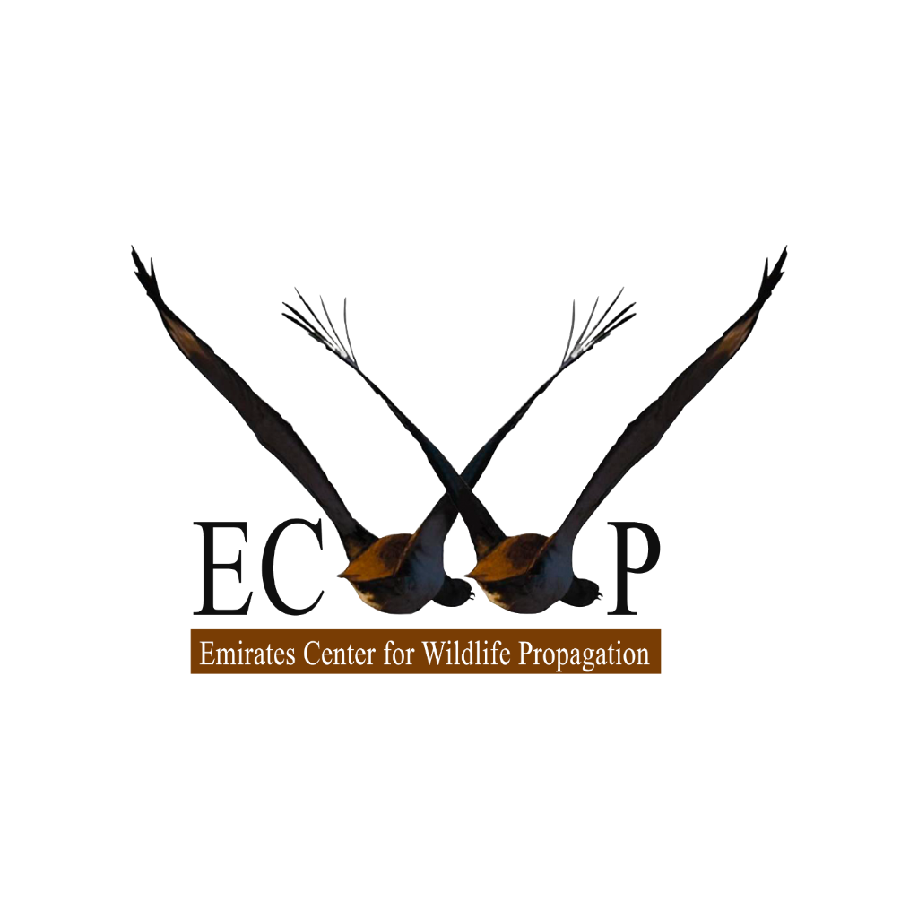 ECWP logosu